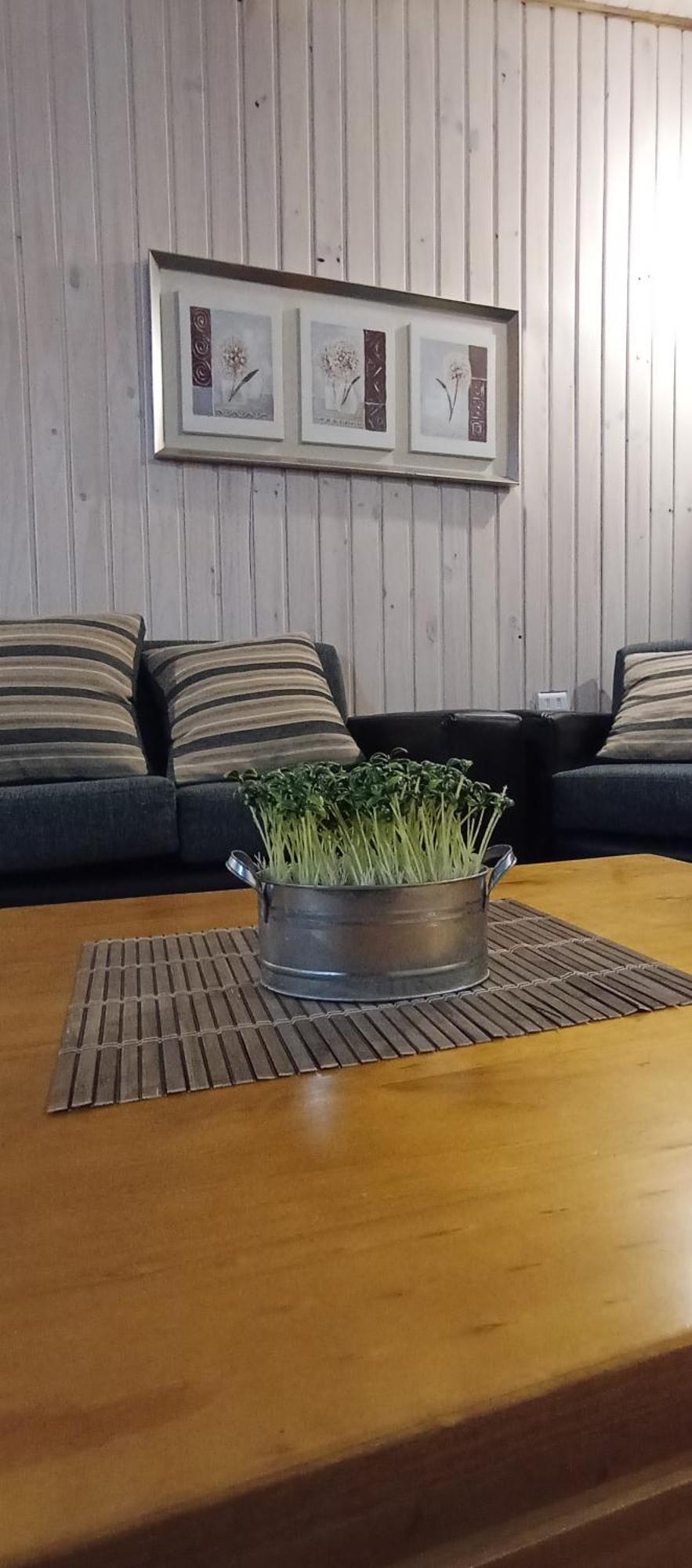 Apartamento Cabana Los Coihues Puerto Montt Exterior foto